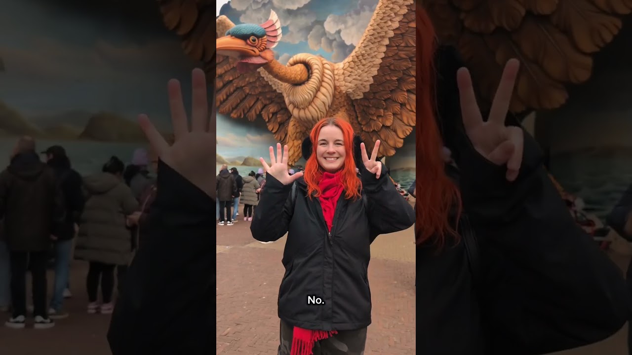 Top Ten favorite Efteling rides in 2025! #dancemacabre #efteling #netherlands #rollercoaster #shorts