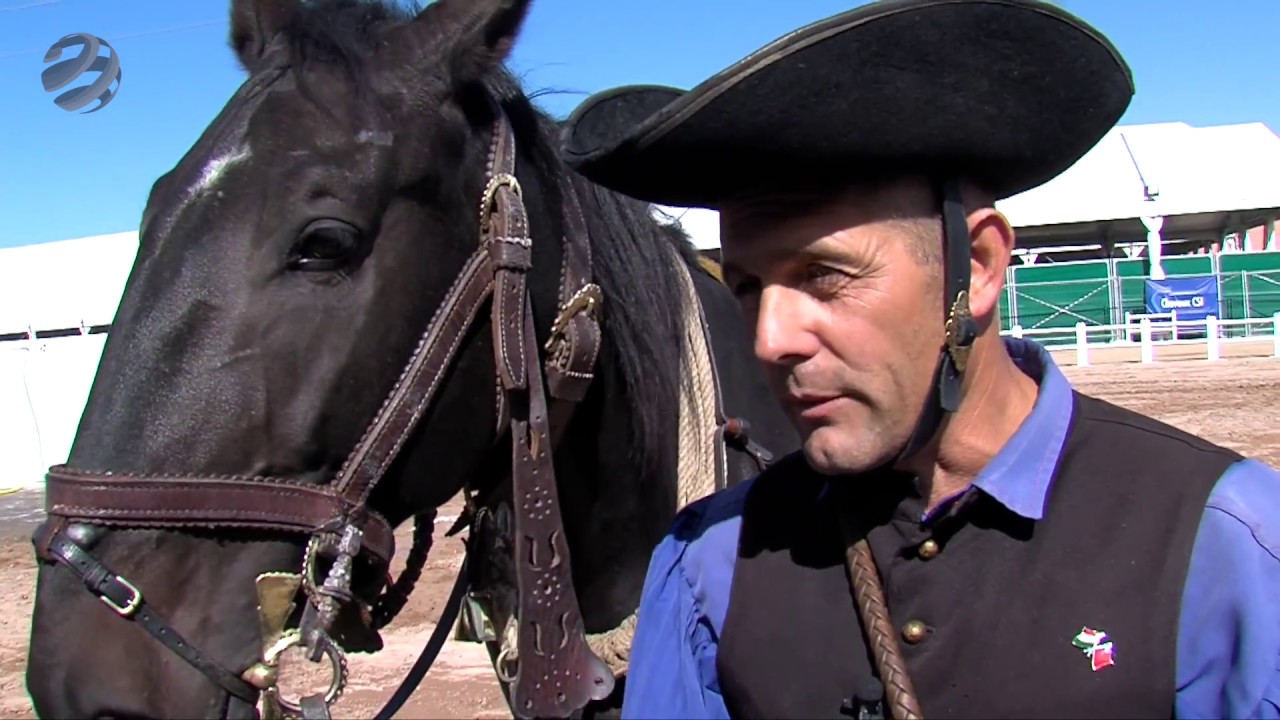 Magyar lovas siker Marokk&oacute;ban az El-Jadida-i Salon du Cheval - LOVAS BETY&Aacute;ROK &Eacute;S A PUSZTA &Ouml;T&Ouml;S