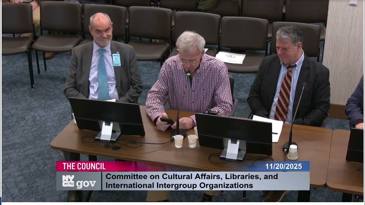 NY Coalition and other testimony at NYC Council - Nov. 20, 2025