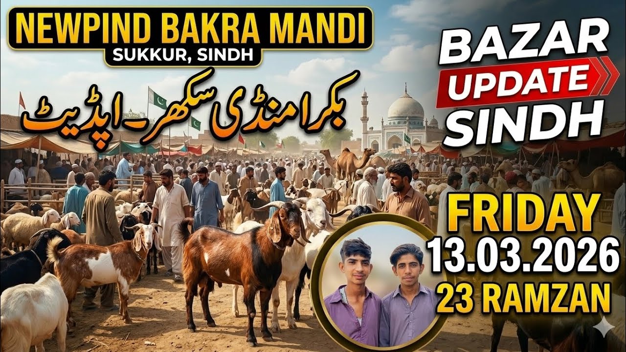 Sindh Ki Sabse Sasti Mandi? Newpind Sukkur Bakra Mandi Latest Update 2026