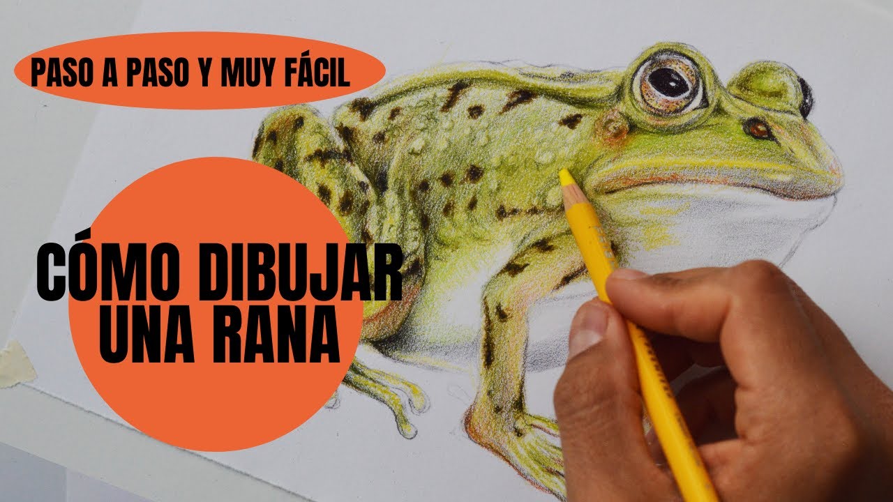 Cómo Dibujar una Rana realista 🐸 Paso a Paso muy fácil
