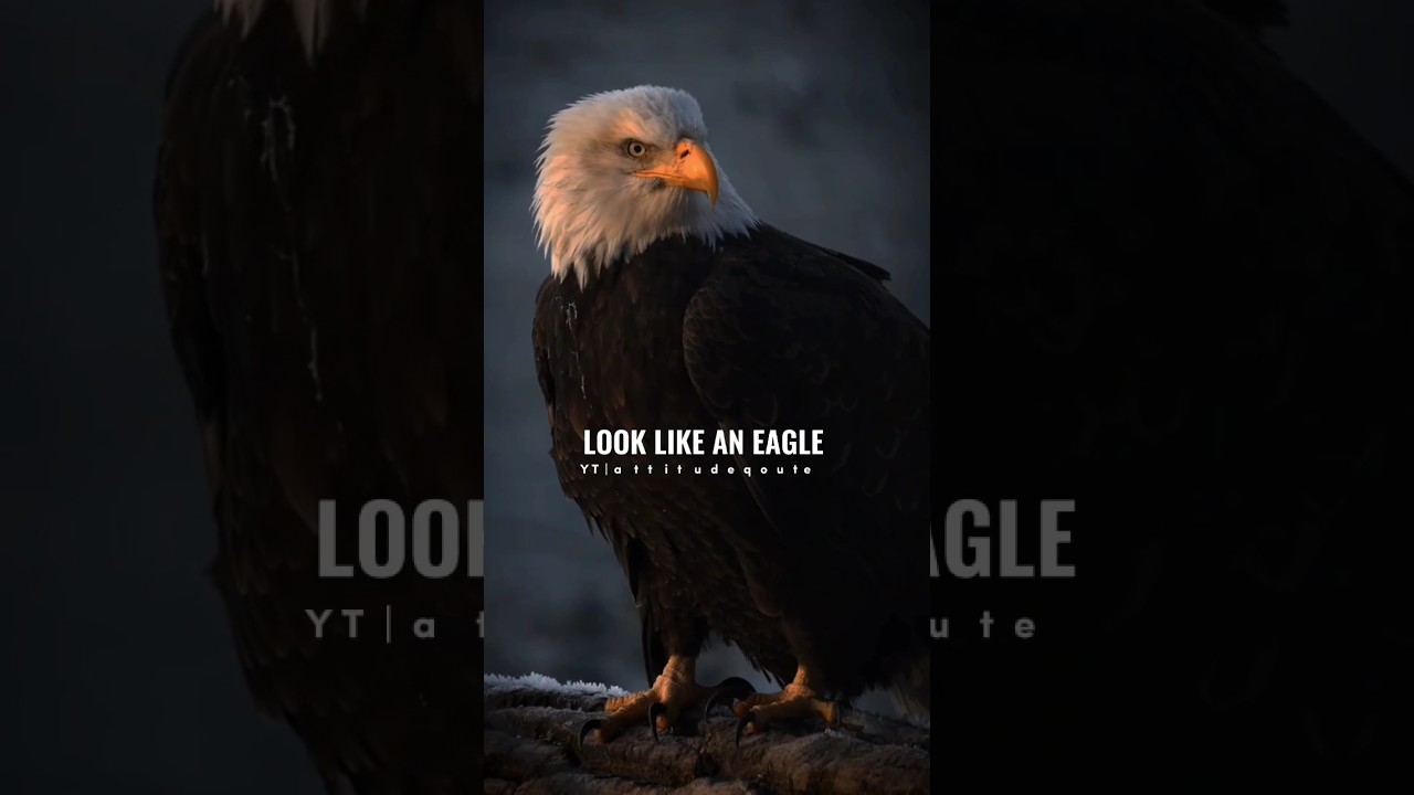 sigma Rule 😎🔥~And Strong like a lion Motivational Quotes #motivation #attitude #quotes #shorts#short