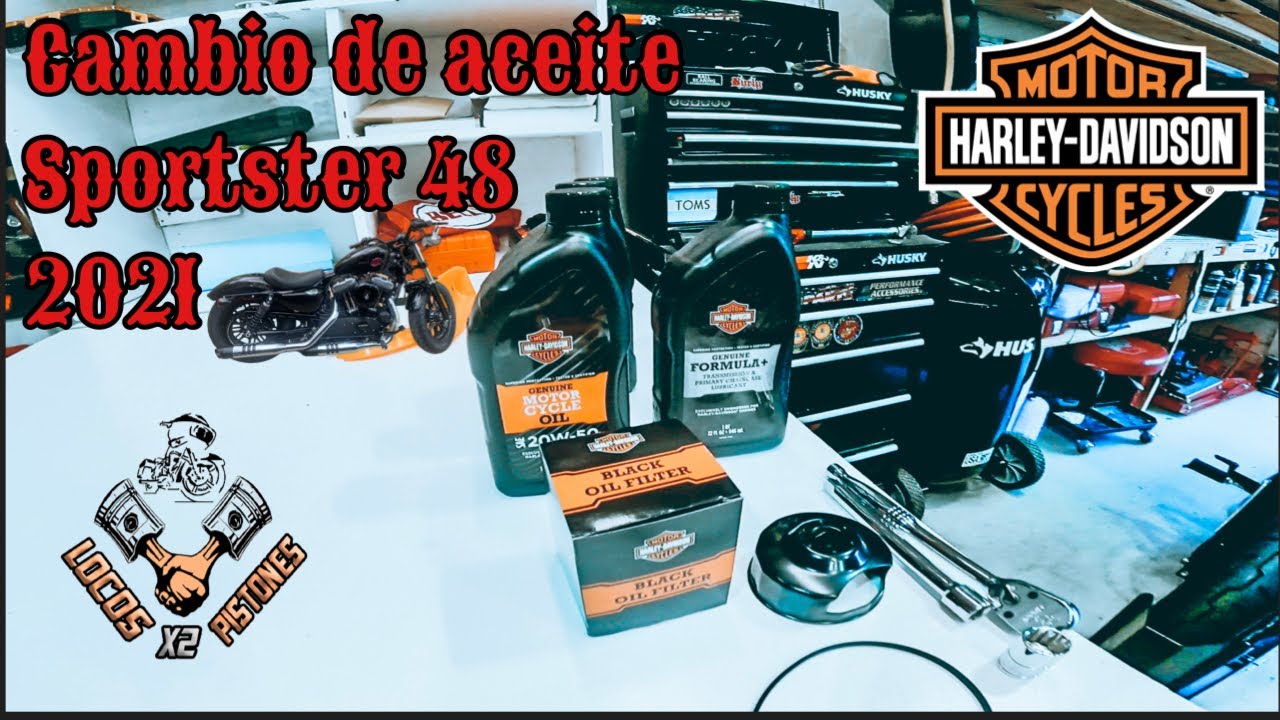 Como hacer el primer servicio a una 2021 H-D Sportster 48 🔧⚙️🏍