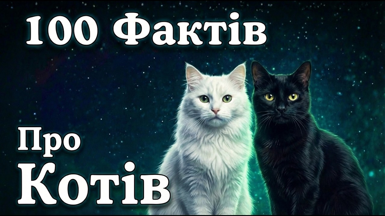 Найзатишніші факти про котів для глибокого сну 🌙