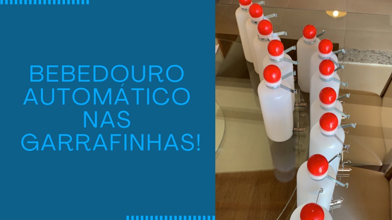 Bebedouro automático nas garrafinhas.