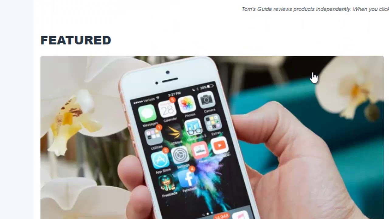 How to find FREE Programs