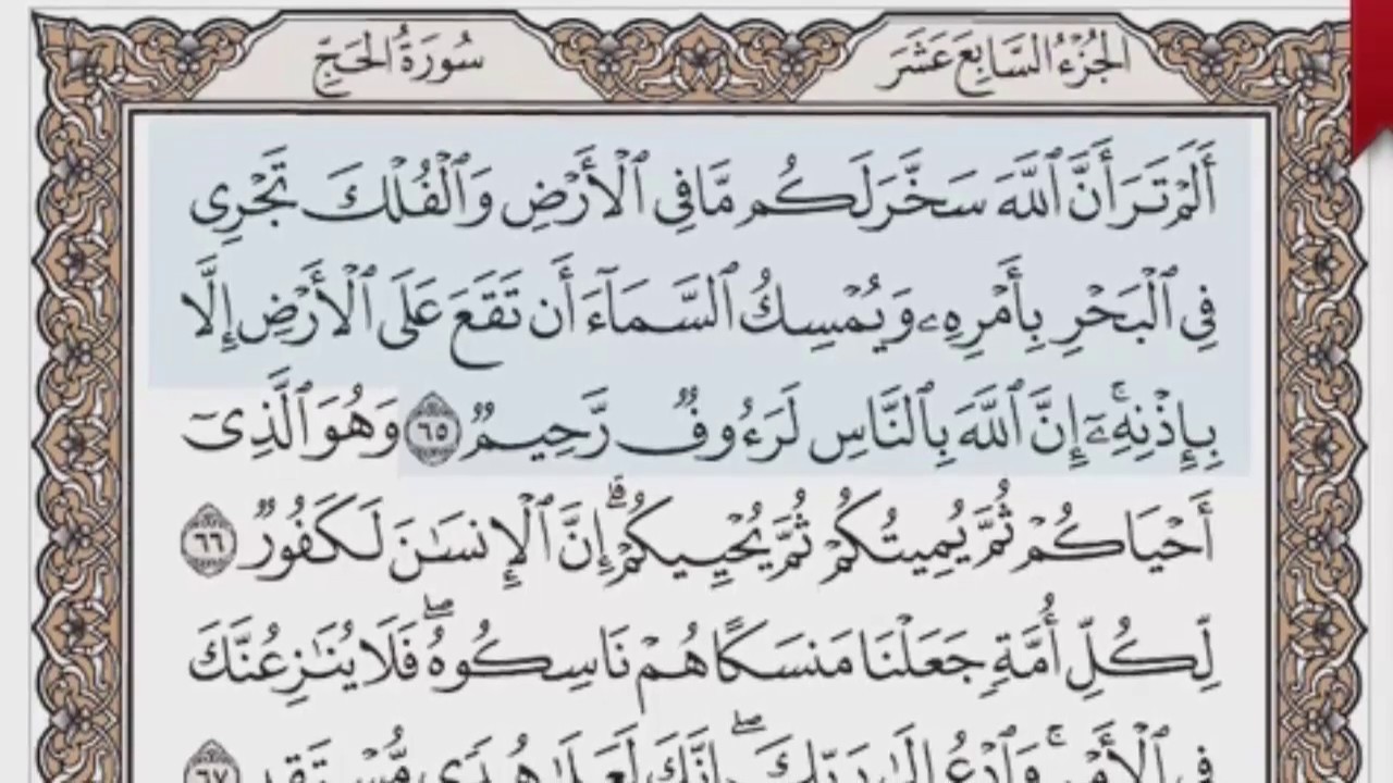 القرآن الكريم بالصفحات صوت وصورة ص/ 340 الشيخ محمود خليل الحصري بمد المنفصل