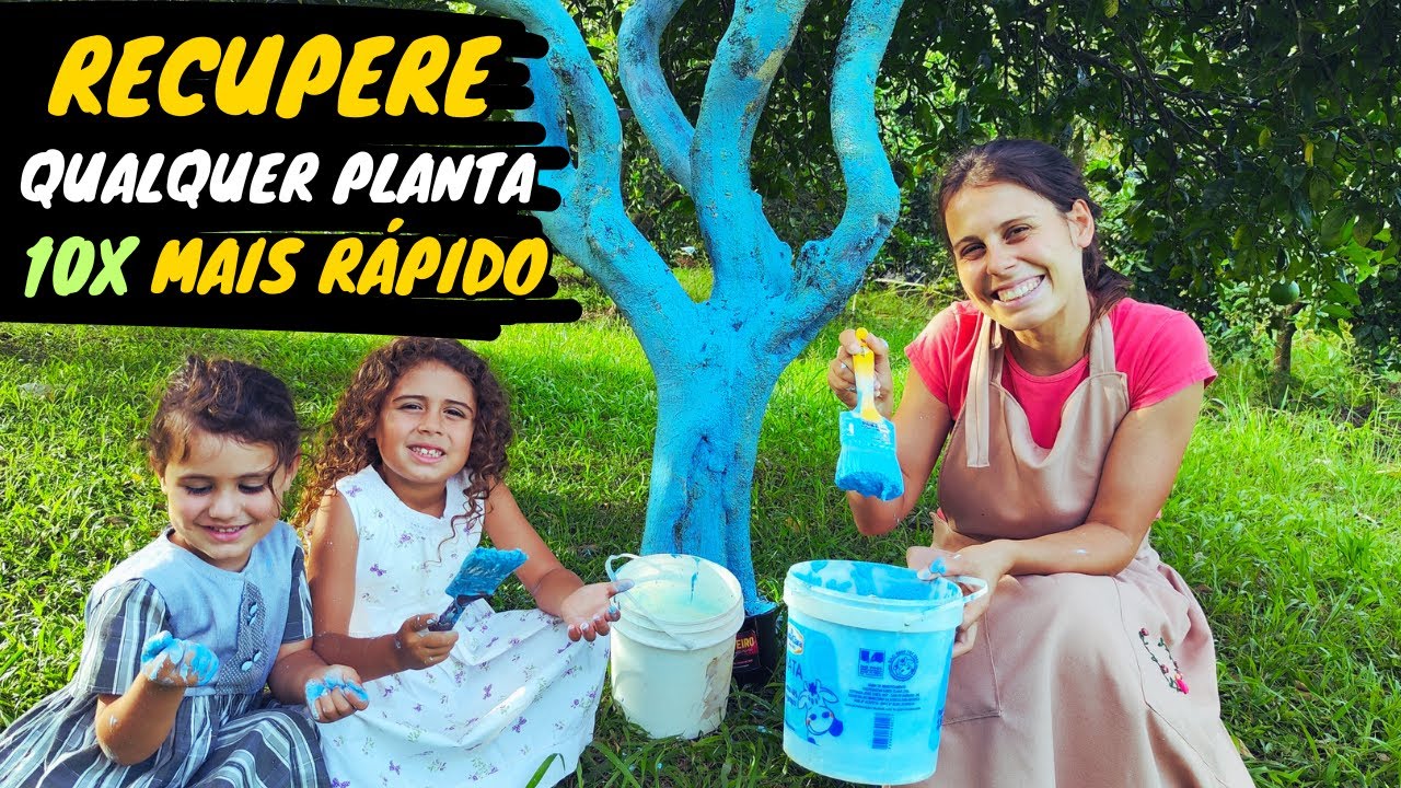 ✅PASTA BORDALESA - RECUPERA QUALQUER PLANTA *Novidades