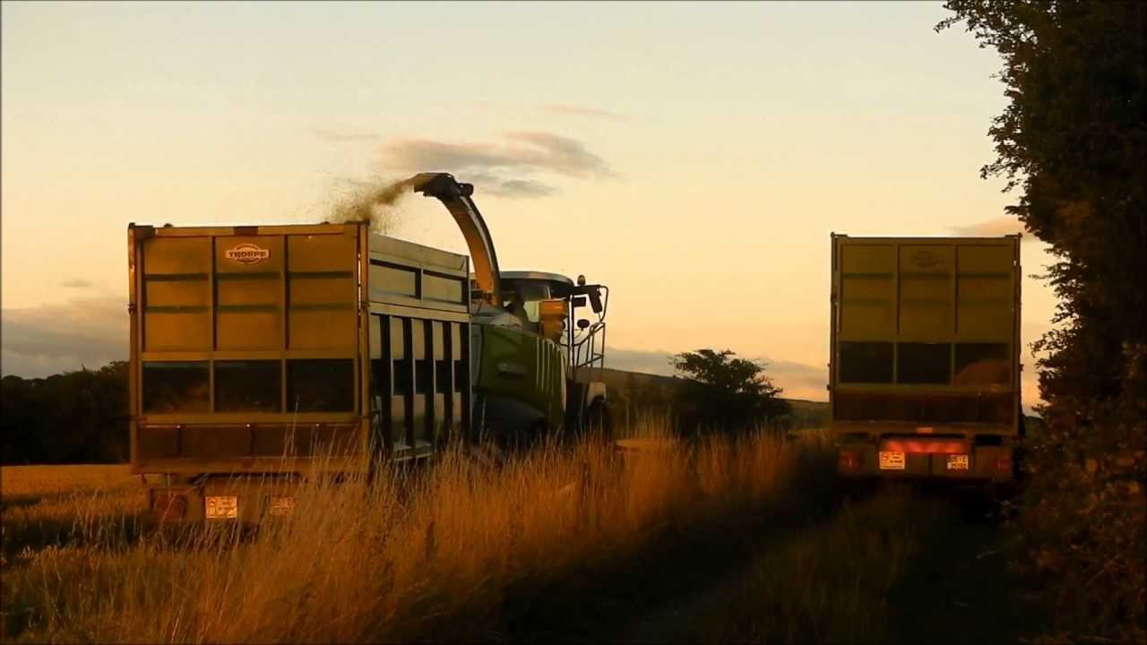 Pat Murphy and Lloyd Forbes at Wholecrop 2013 Pt1