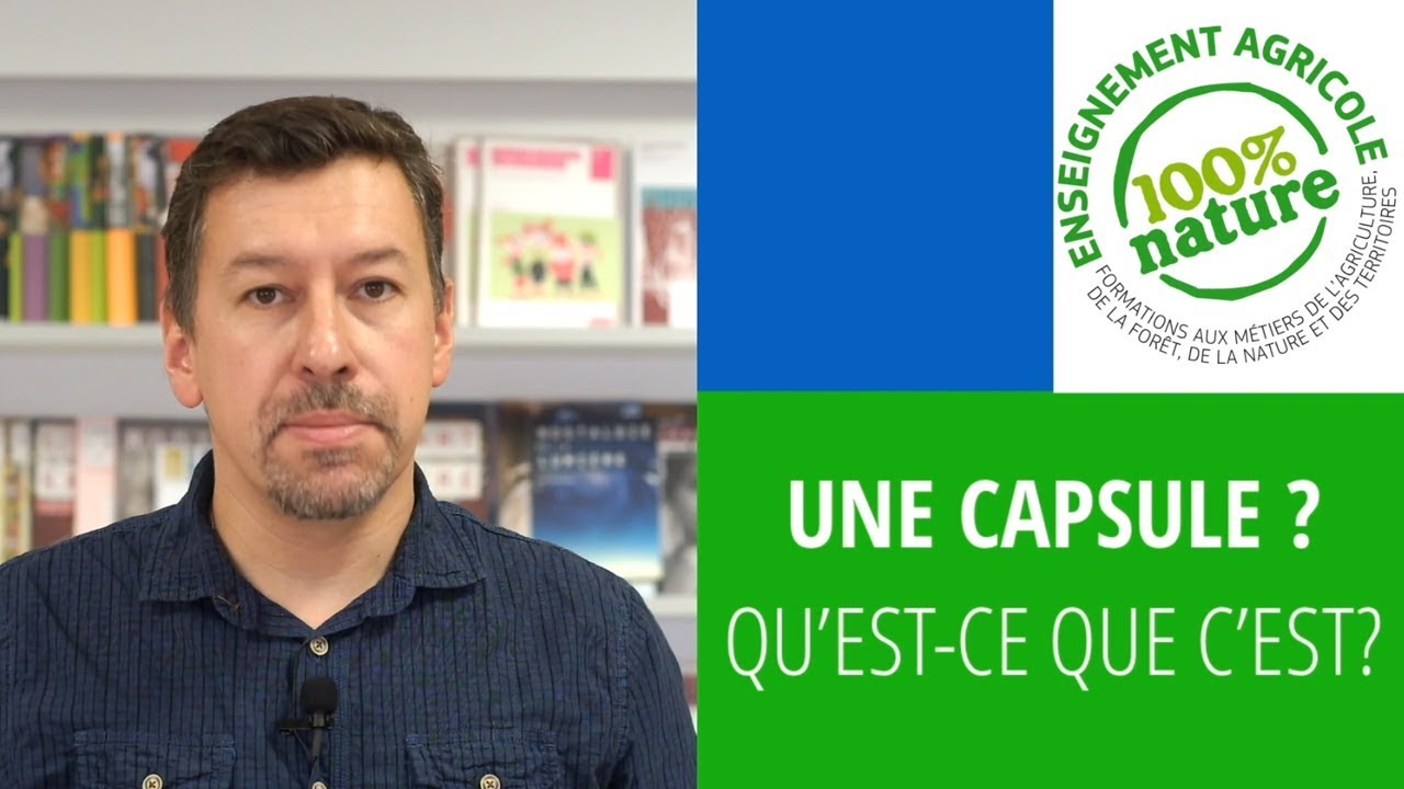 Une capsule vidéo, c'est quoi ?