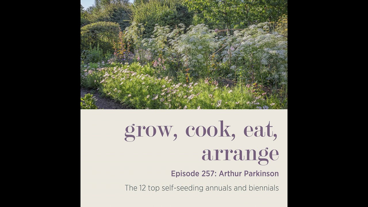 Arthur Parkinson: The 12 top self-seeding annuals and biennials - Episode 257