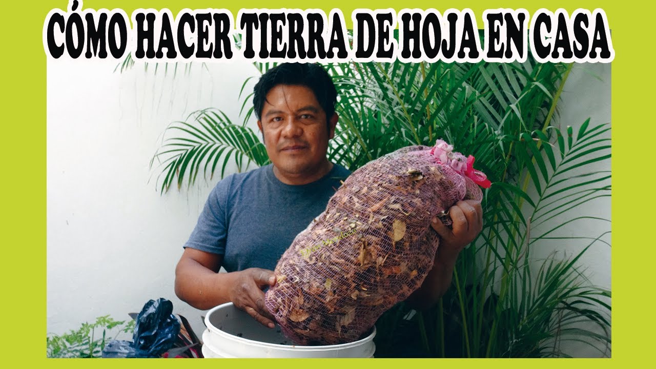 Cómo hacer tierra de hoja en casa (Primera parte)/Efrén Mendoza