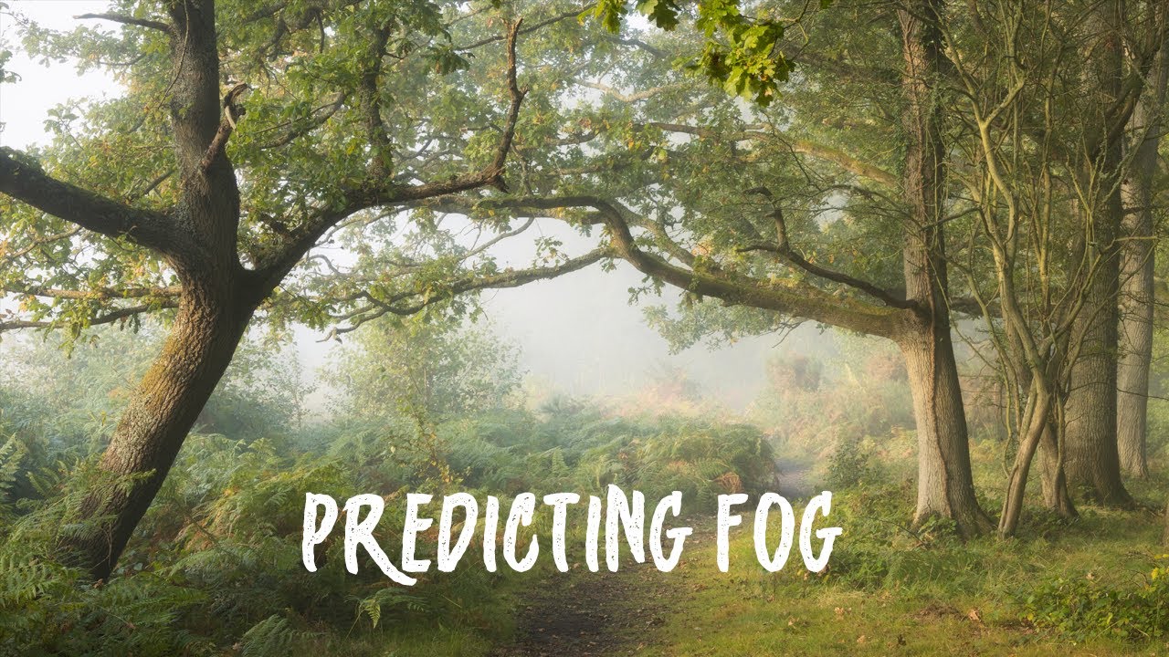 Predicting FOG For Landscape Photography