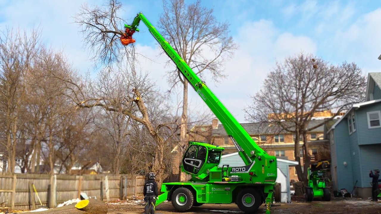 Back to Work After the Deep Freeze! Tree Removal + Epic Snowboard Trip