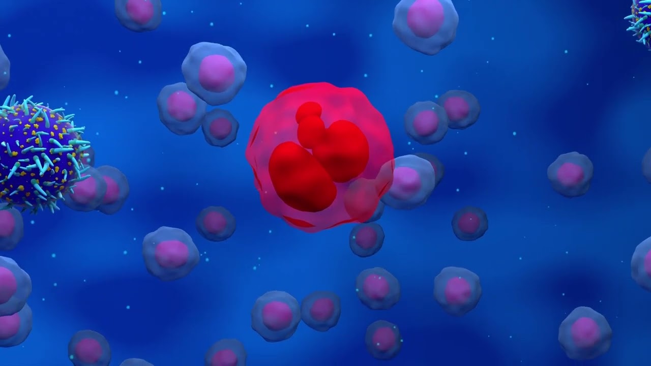 4 What is Chemotherapy - How Does it Treat Cancer?