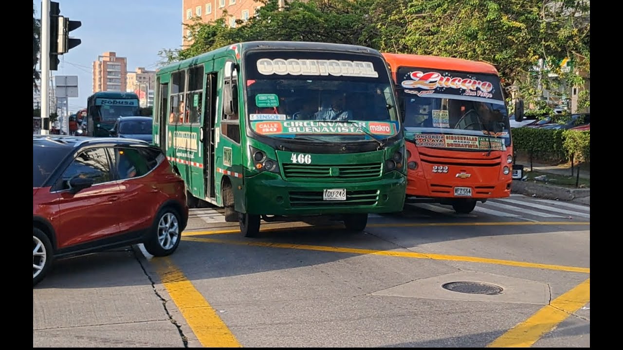 Recopilacion De buses de Servicio Publico en barranquilla