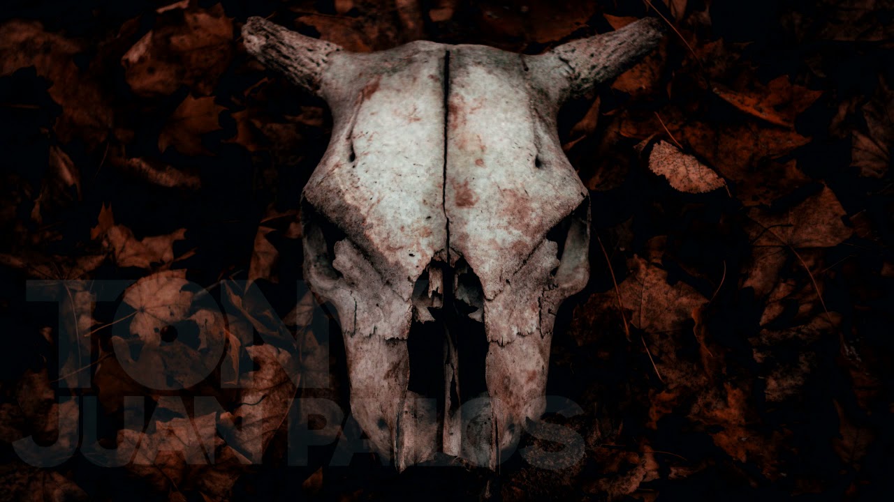 [SOLD] HEAVY METAL Type Beat 