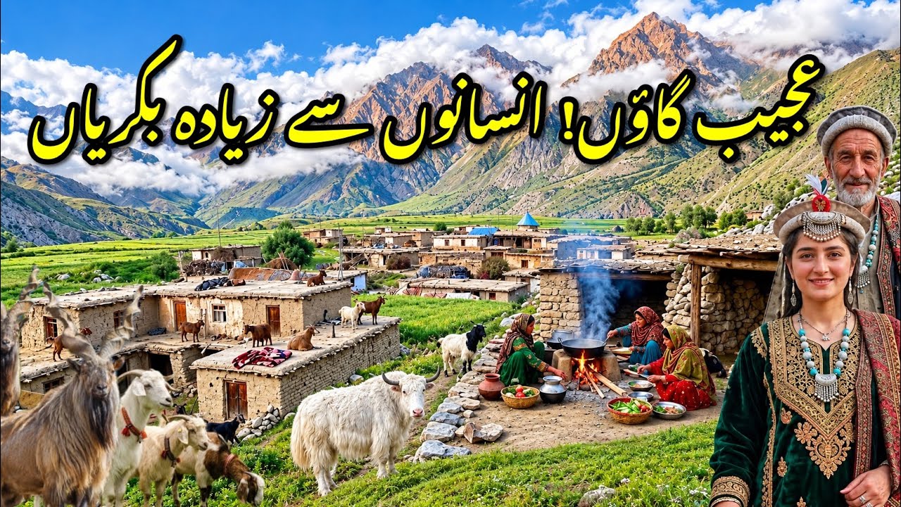 Inside Pakistan&rsquo;s Remote Mountain Village | Simple Life, Mud Houses & Livestock
