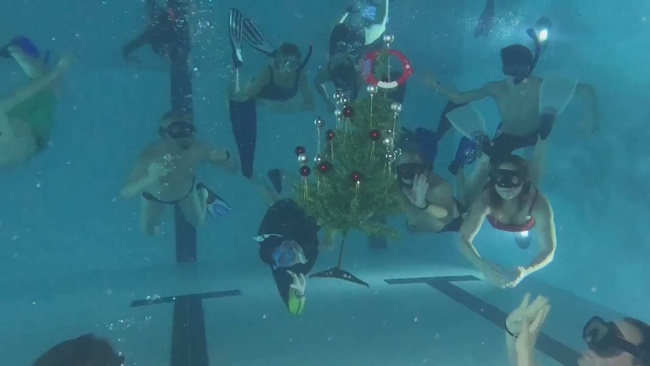 Frohe Weihnachten von den Seeteufeln!