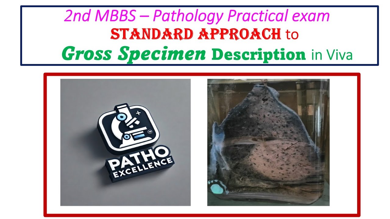 2nd MBBS Pathology Practical Exam | Standard Approach to Gross Specimen Description | Viva Guide