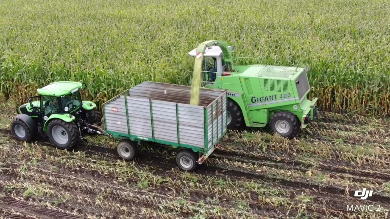 Maisernte Beginn 2021 mit Deutz Gigant / MB trac / Deutz fahr / John Deere