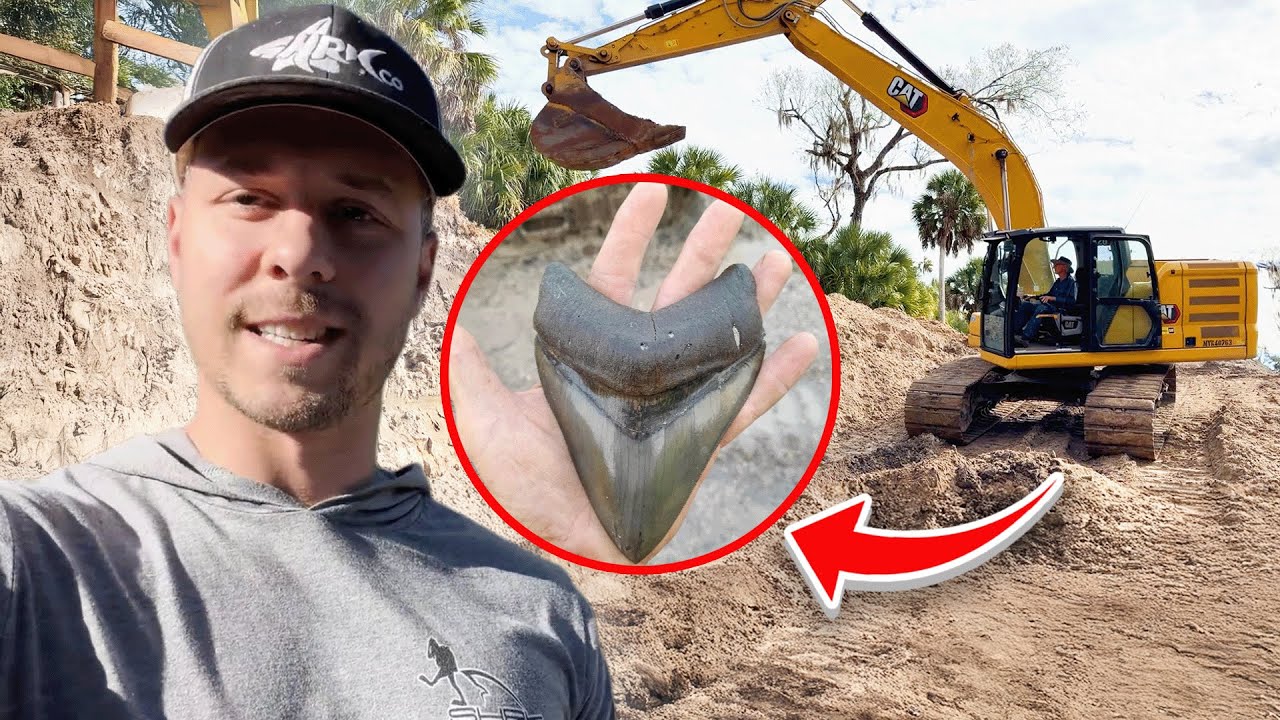 Excavator Accidentally Uncovers Rare Ancient Ocean