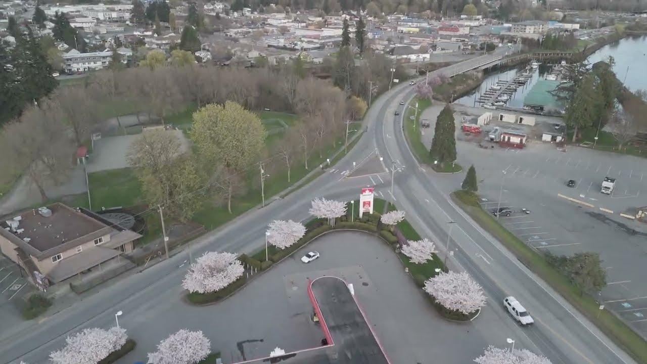 Honda CRX Box Roller - May 10th