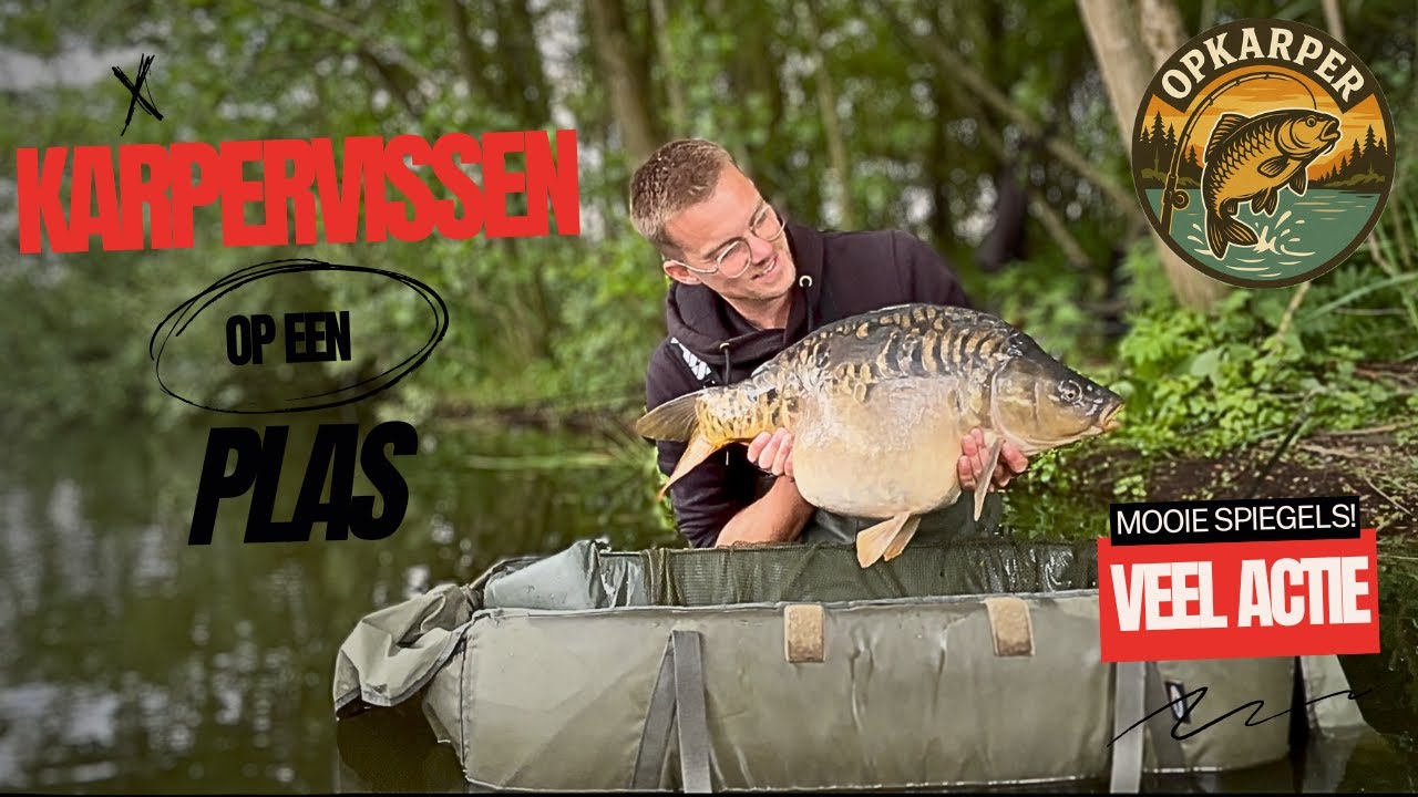 Karpervissen op een Plas | Mooie Spiegels!