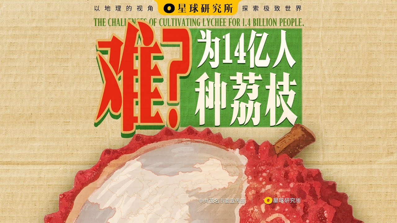 人均140颗！中国人是如何实现“荔枝自由”的？Lychee freedom for 1.4 billion people!【星球研究所】【4K】