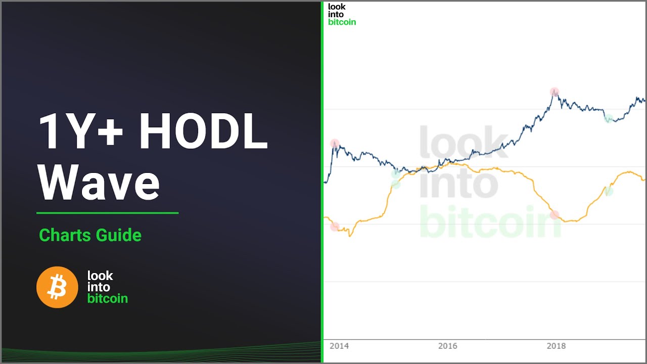 Bitcoin 1Y+ HODL Wave