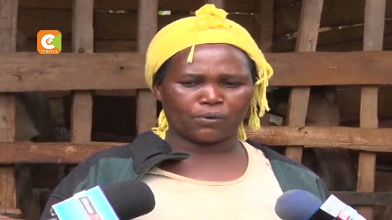 ‘Miracle’ of Nyeri goat that gives birth to 5 kids at a time