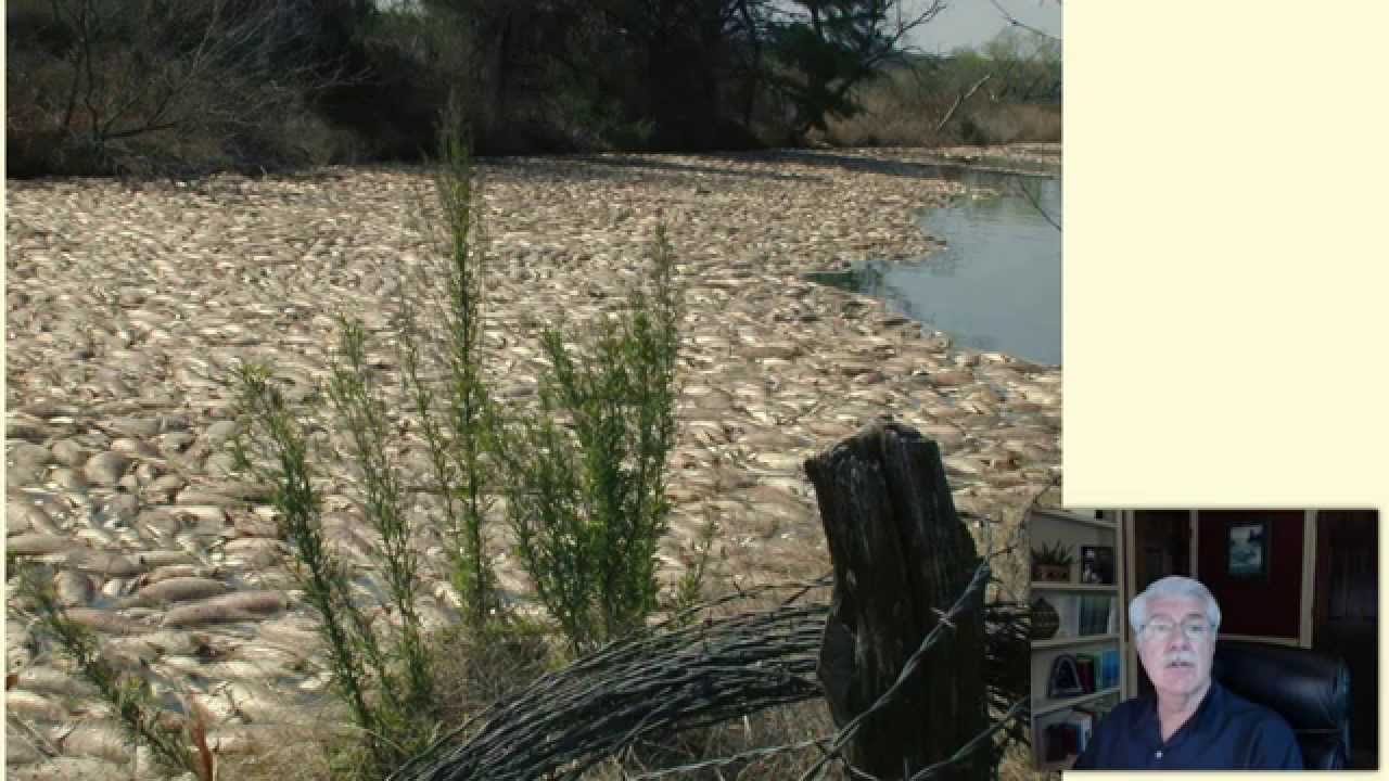 Water Pollution - L1.6