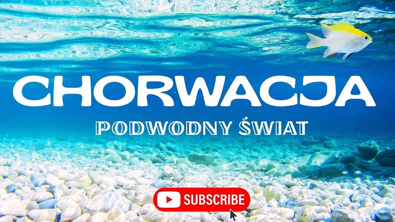 Podwodny świat w Chorwacji — ryby, rafy i nurkowanie 🐠🌊