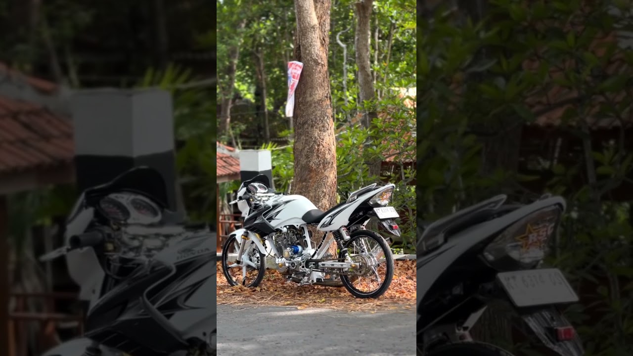 MODIFIKASI MOTOR HONDA TIGER WARNA PUTIH