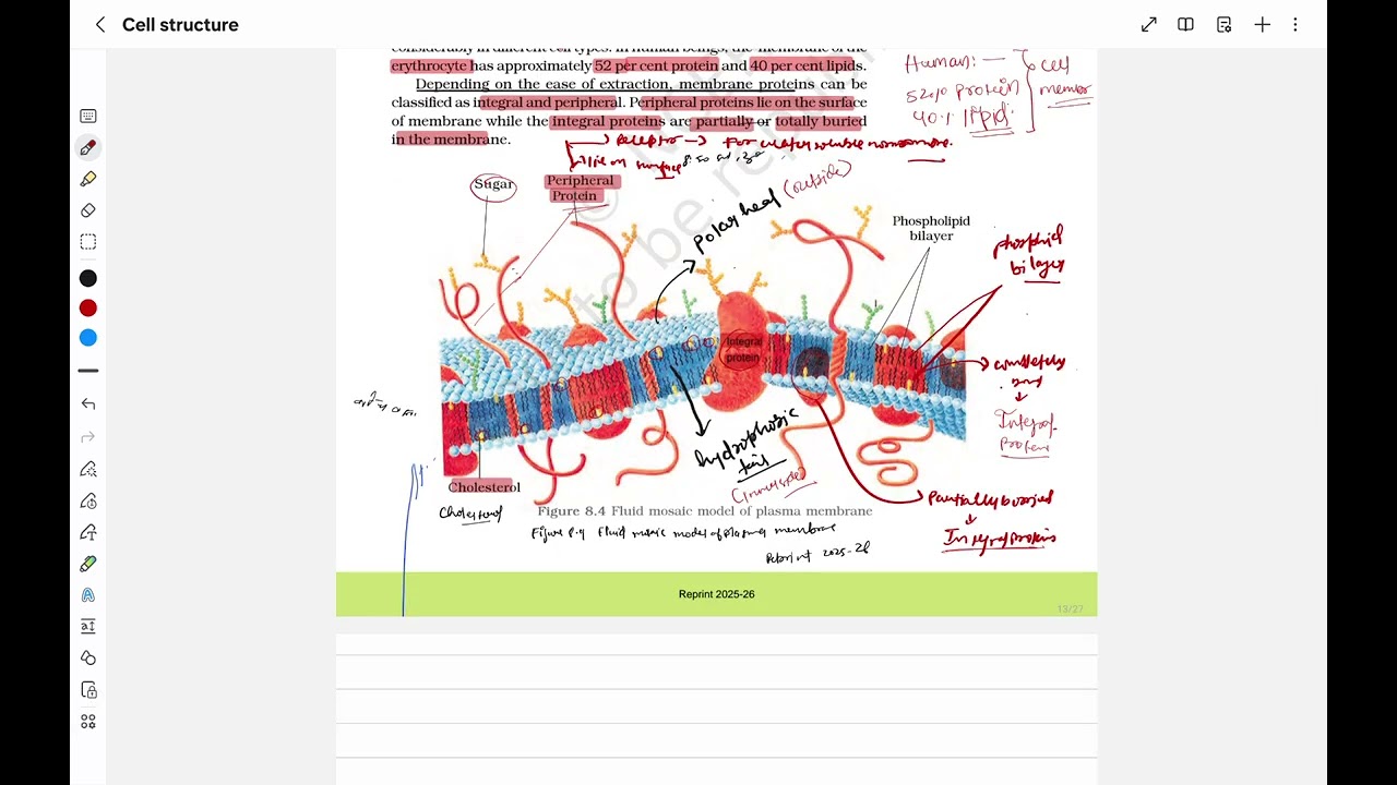 Cell membrane  ncert highlight 