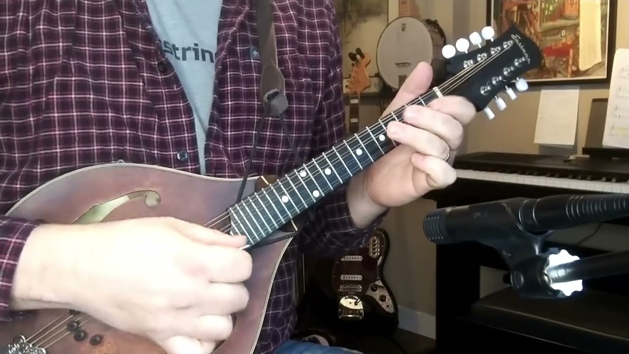 Volte - Mandolin