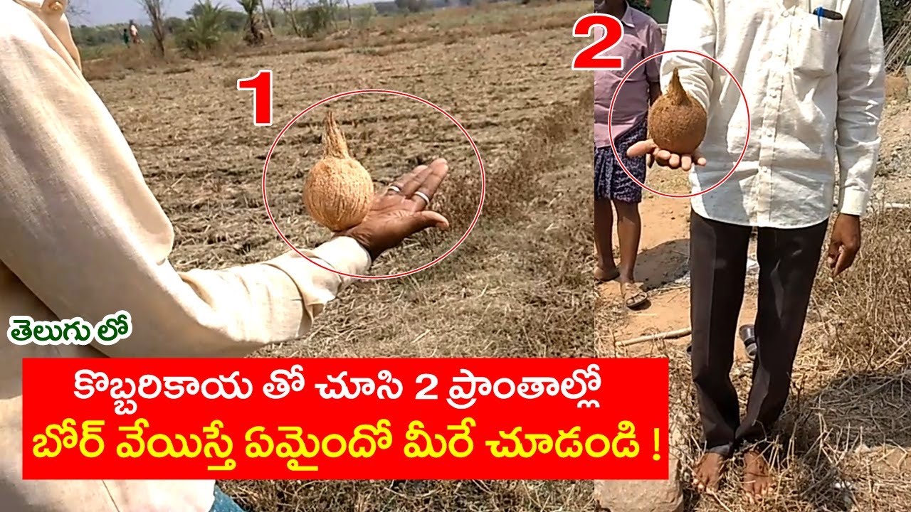 కొబ్బరికాయతో చూసి 2 ప్రాంతాల్లో బోర్ వేయిస్తే ఏమైందో మీరే చూడండి | Ground Water Testing With Coconut