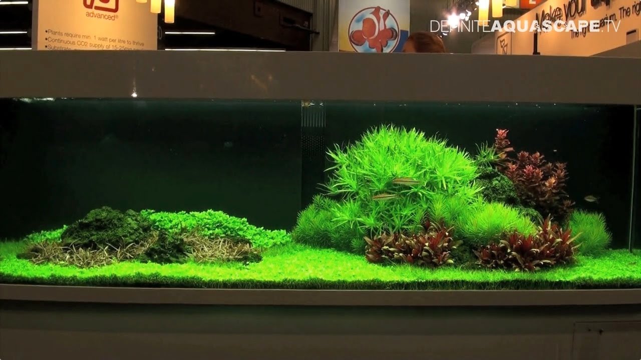 Aquarium ideas from InterZoo 2014 (pt. 2) - Tropica, layouts 94 and 95