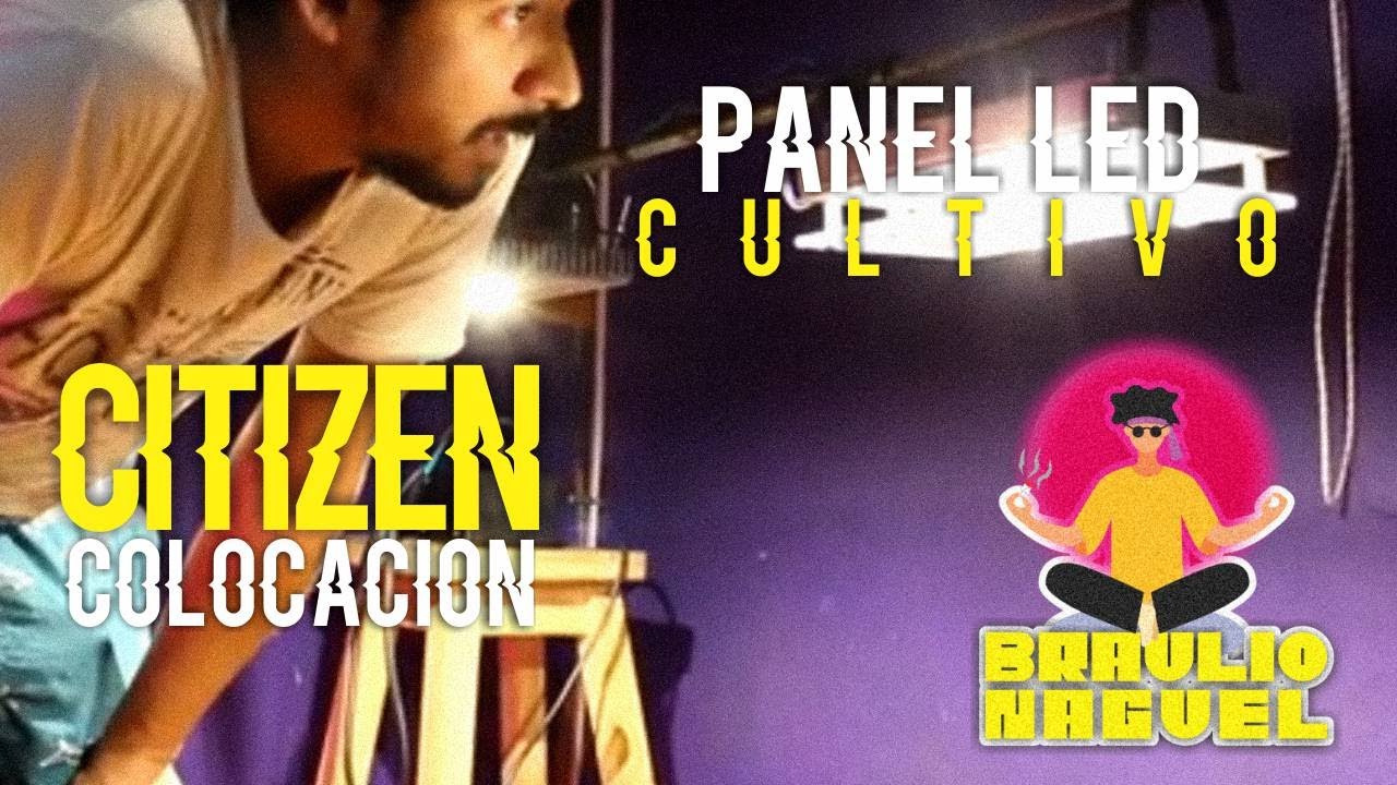 🍀PANEL LED COB Citizen de Cultivo! CLU0481216 Leds comparacion con Led COB Full Spectrum