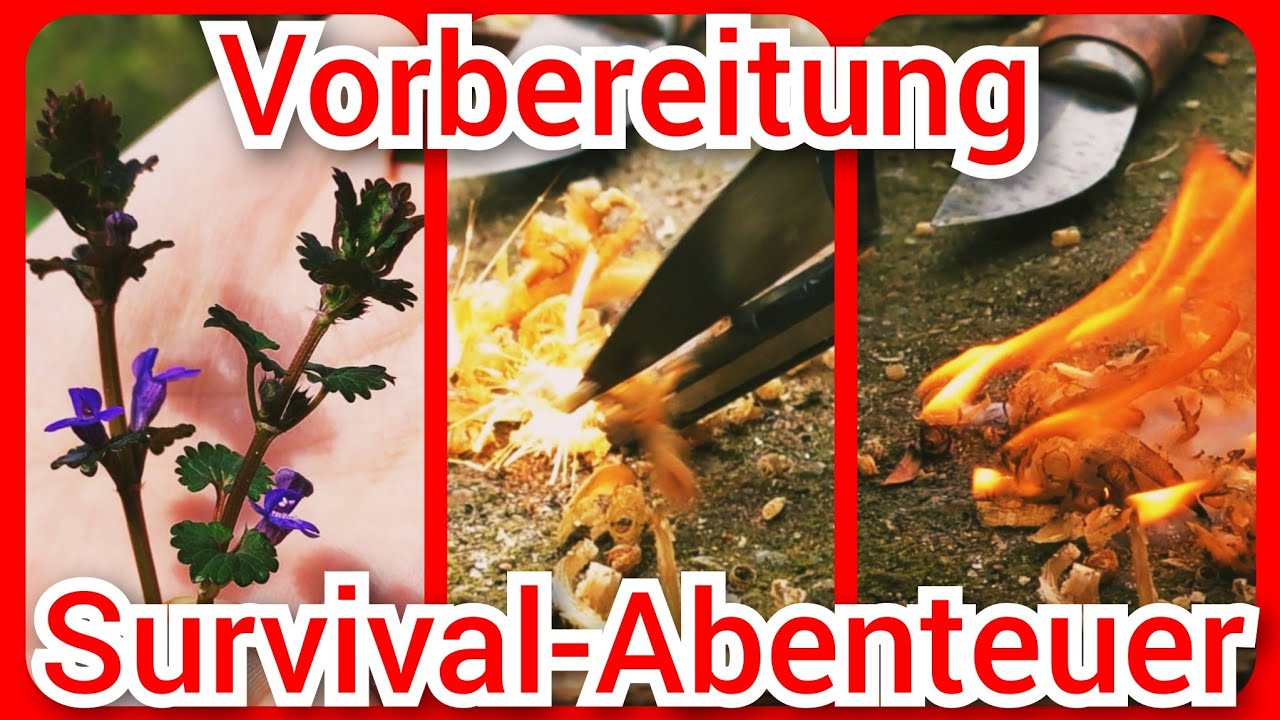 Survival-Abenteuer - Vorbereitungen - Kienspan sammeln, Feuer machen & Pflanzenkunde - ANGLERSCHWATZ