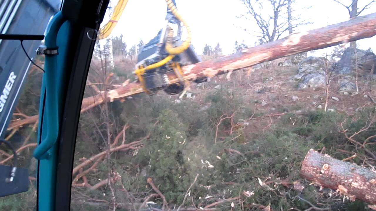 Profi 50 Logmer 1011C 11,30 meter Kesla 25 RH2 65 cm i rotsk&auml;ret