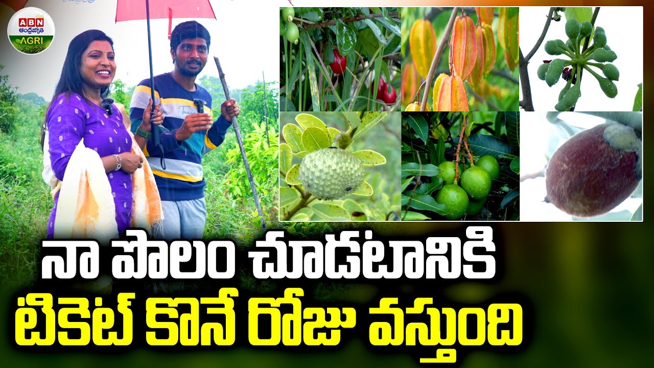 ఎక్కడా చూడని అరుదైన పళ్ళ చెట్లు ఇక్కడ చూడొచ్చు | People Pay For Visiting My Farm - ABN Agri