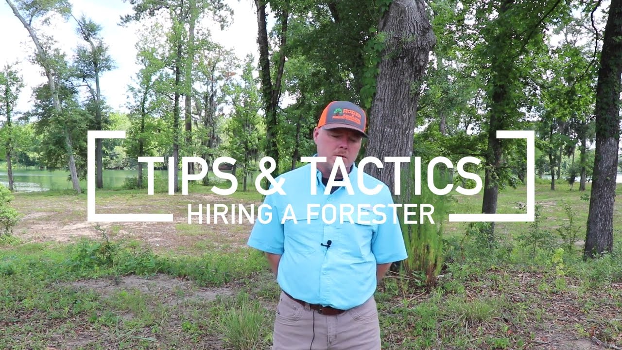 Tips & Tactics: Hiring a Forester
