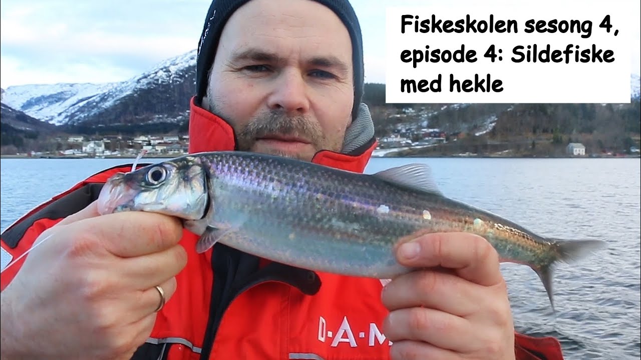 Fiskeskolen sesong 4, episode 4: Sildefiske med hekle