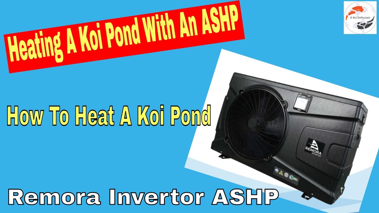 Heating a Koi Pond With An Air Source Heat Pump Part 1 - How To Heat A Koi Pond - Remora ASHP