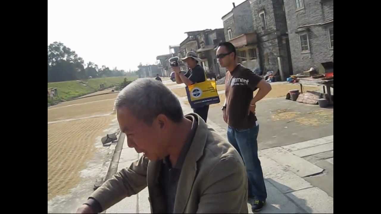 A Visit To A Wong Village In Kaiping, China   開平   (Hoiping Near Toisan)  中国小村
