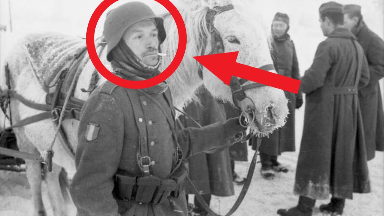 The German Soldier Who Survived The Frozen Hell Of Demynask