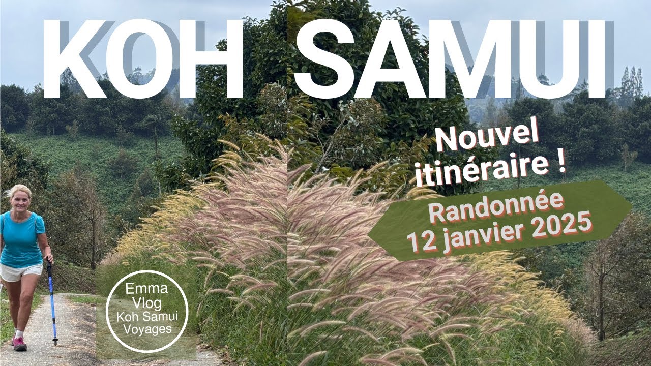 Randonnée sur les hauteurs de Koh Samui : vallées, vergers et paysages - Nouvel itinéraire !