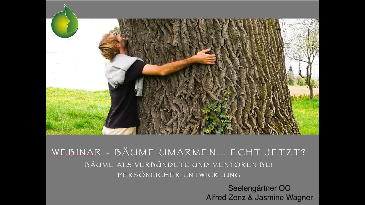 WEBINAR: Bäume umarmen...Echt jetzt?