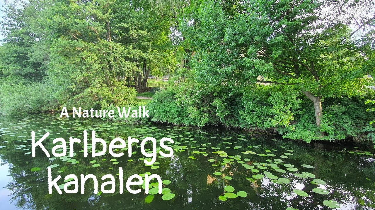 Nature Walk through Karlbergs kanalen | Stockholm summer walk | Visit Stockholm